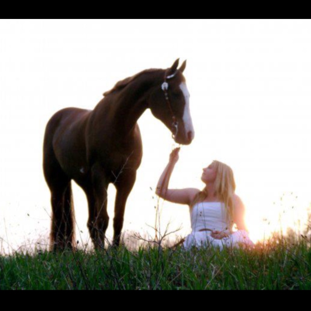 Meet your Posher, Karah